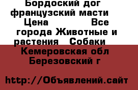 Бордоский дог ( французский масти)  › Цена ­ 50 000 - Все города Животные и растения » Собаки   . Кемеровская обл.,Березовский г.
